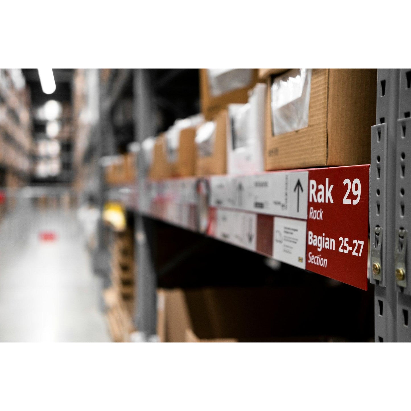 Conecta WMS con RelBase